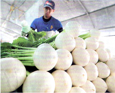 菅原農産