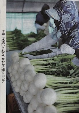 菅原農産