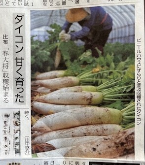 菅原農産