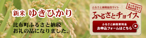 ふるさと納税たった5分で申込完了！新米ゆきひかり